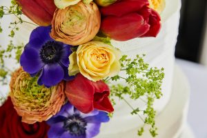 Old Down Manor wedding photography - cake